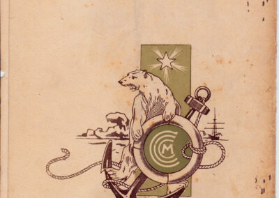 2957_grafica orso polare